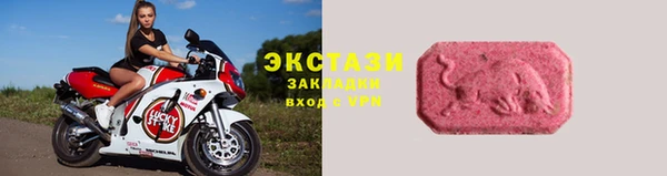ECSTASY Бородино