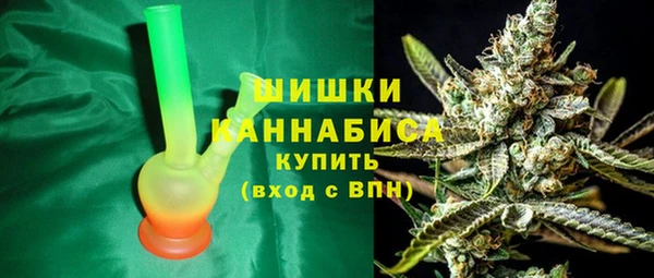 ECSTASY Бородино
