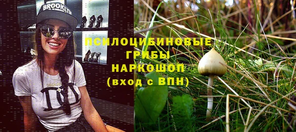 СК Богородицк